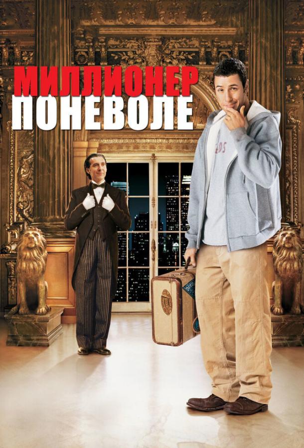 Постер фильма Миллионер поневоле