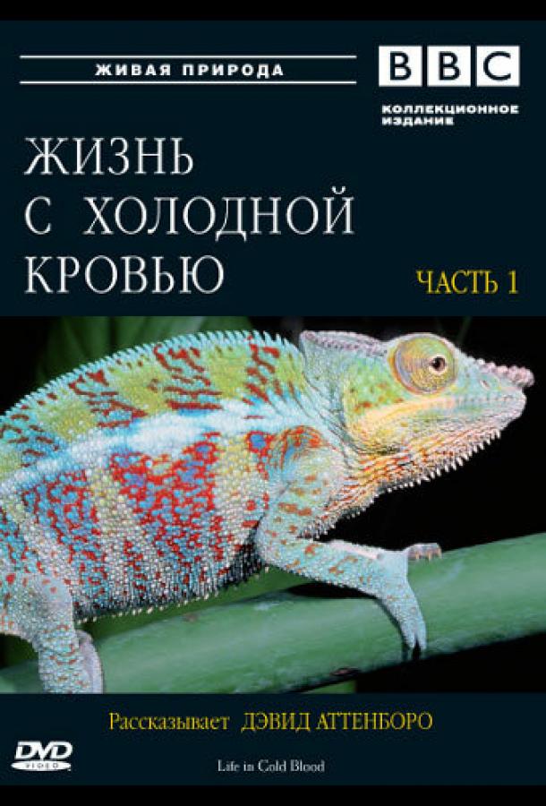 Постер фильма BBC: Жизнь с холодной кровью