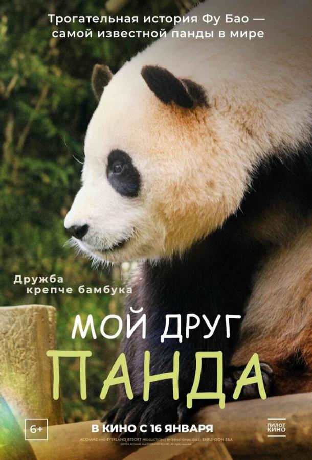 Постер фильма Мой друг панда