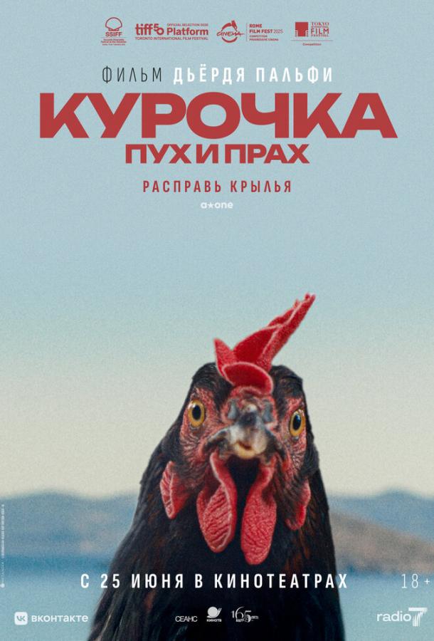 Постер фильма Курочка. Пух и прах