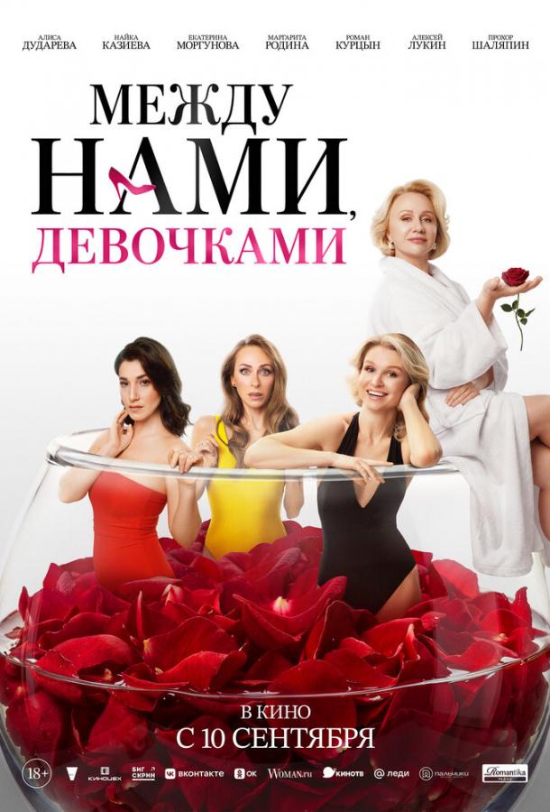 Постер фильма Между нами, девочками