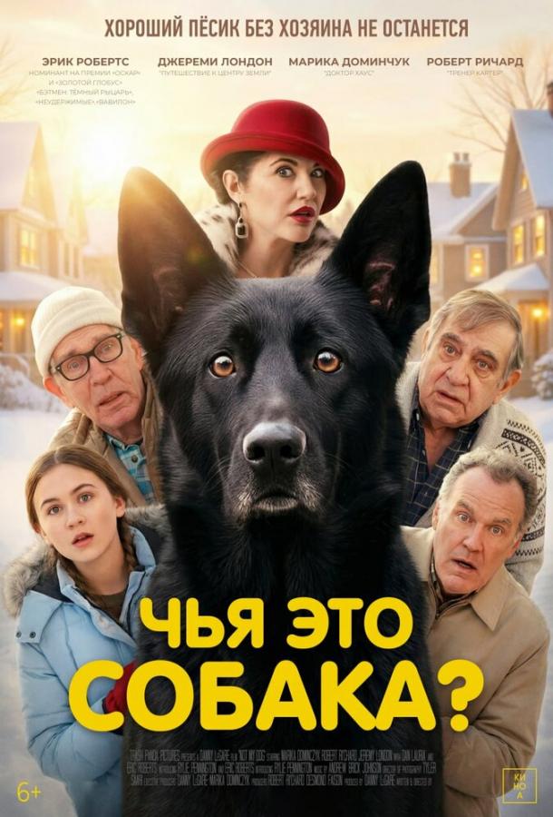 Постер фильма Чья это собака?
